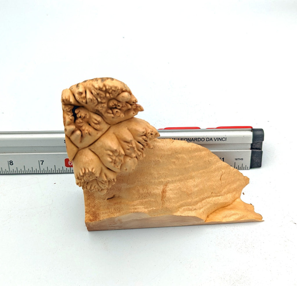 Maple Burl Scrap