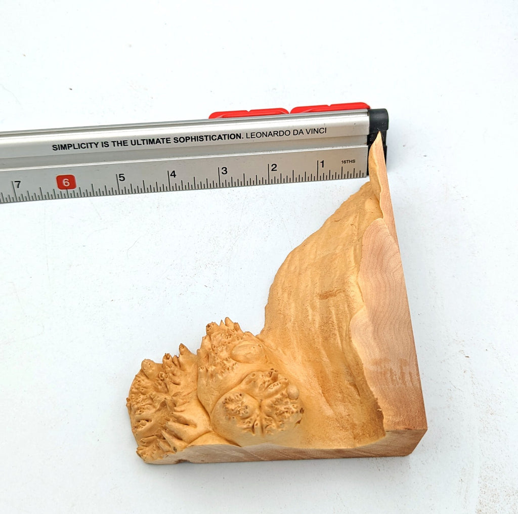 Maple Burl Scrap